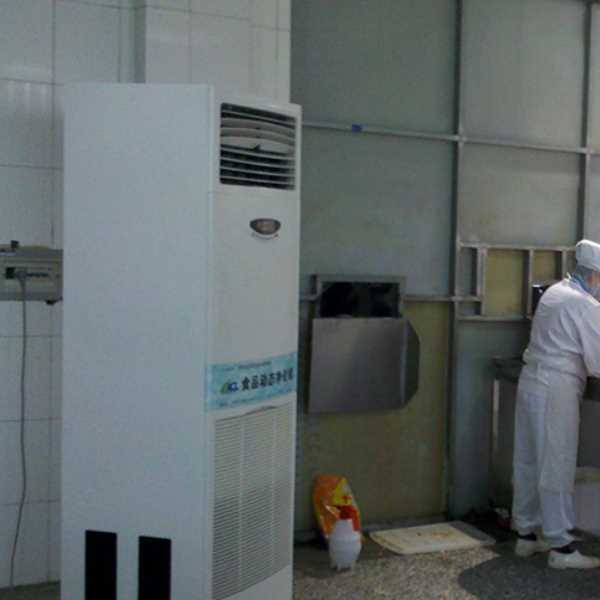 铜陵食品正负离子空气杀菌器